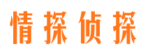 市中市婚外情调查